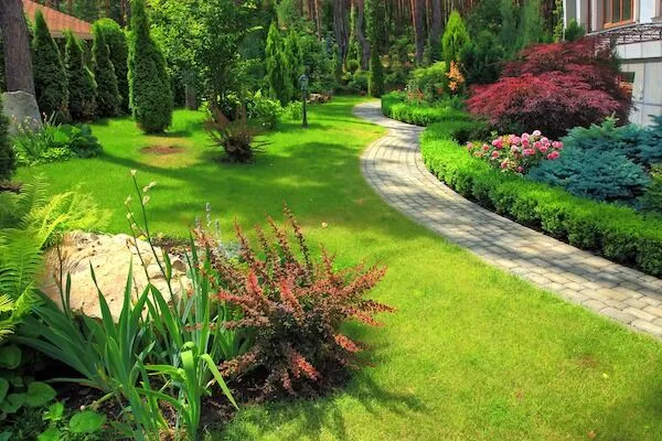 Always Green Landscaping: Transforming Myrtle Beach Lawns into Stunning Outdoor Retreats